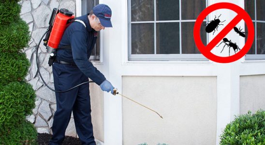 Akdağmadeni Bit İlaçlama böcek ilaçlama ve haşere kontrolü — ilaclama-tr.com